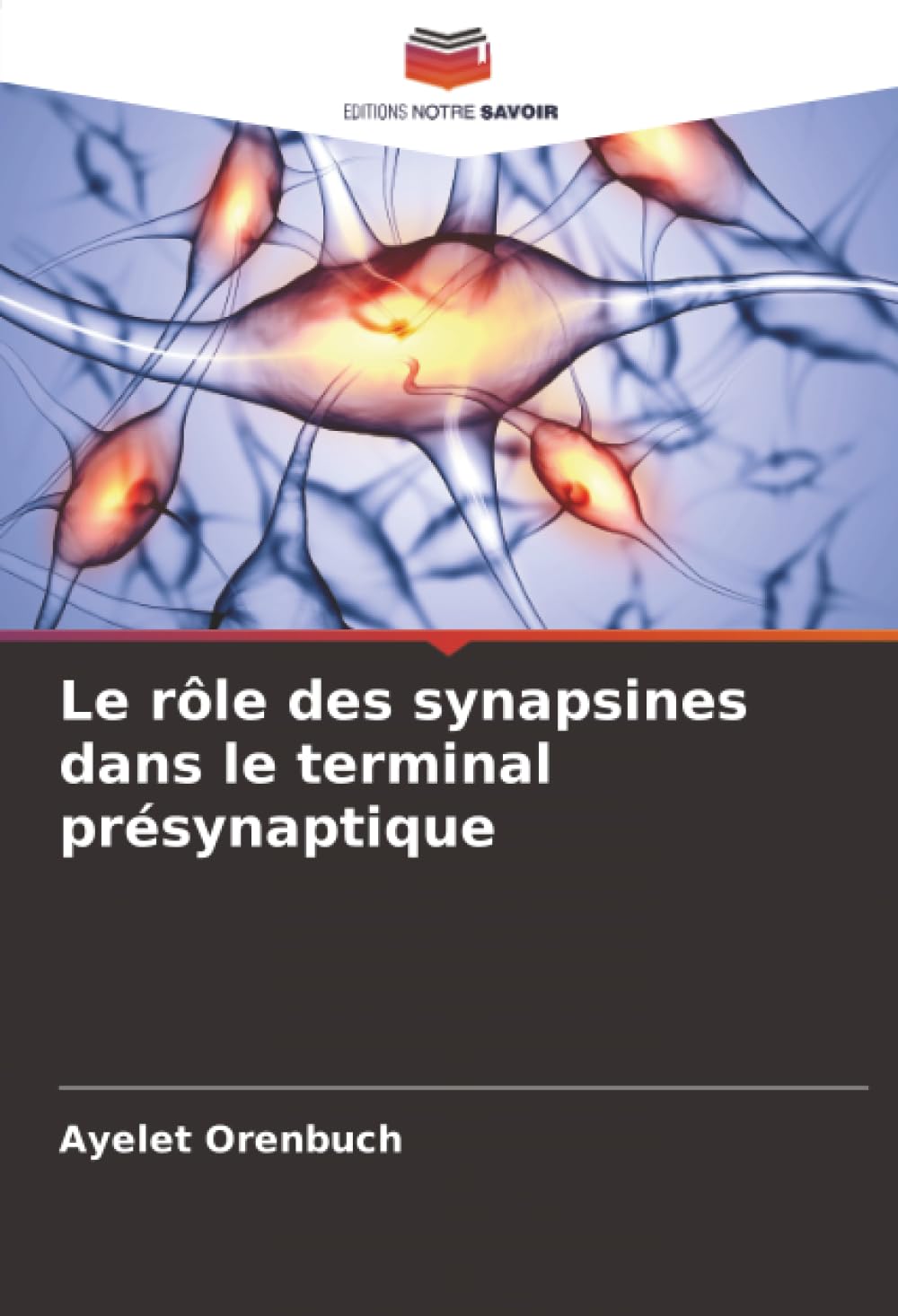 Le rôle des synapsines dans le terminal présynaptique