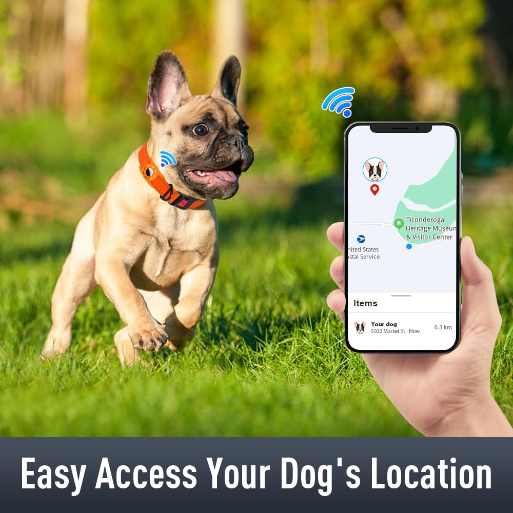 Airtag, Collare per cani per cuccioli, collari riflettenti per cani con supporto AirTag, morbida imbottitura e fibbia di bloccaggio di sicurezza, collare in nylon regolabile per tutte le razze,