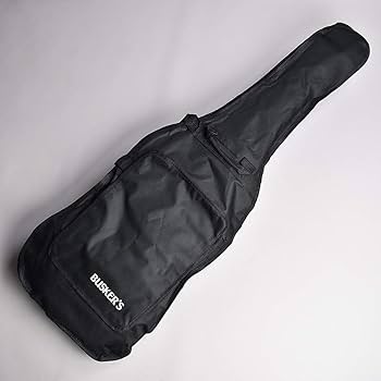 Amazon | BUSKER'S BST-STD CAR エレキギター ストラト