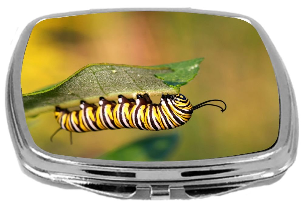 Rikki KnightCompact Mirror, Caterpillar