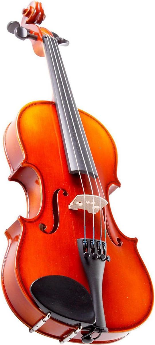 Nagoya Suzuki NS20FEO12 Violin