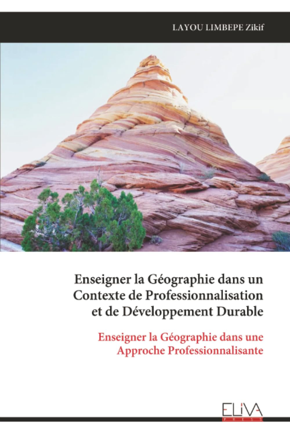Enseigner la Géographie dans un Contexte de Professionnalisation et de Développement Durable: Enseigner la Géographie dans une Approche Professionnalisante