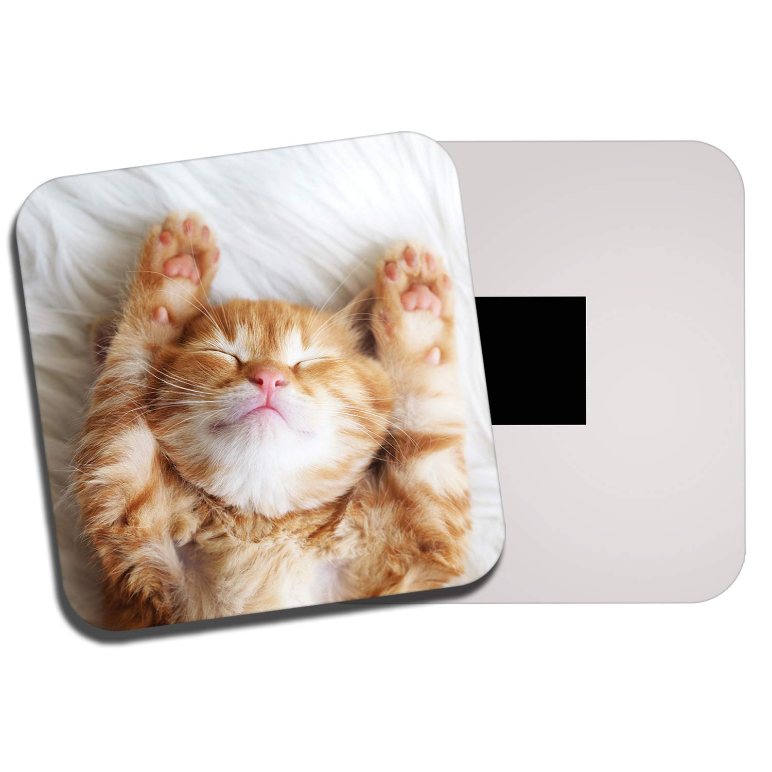 Sleeping Ginger Kitten Fridge Magnet - Cat Cats Cute Baby Animal Fun #13113