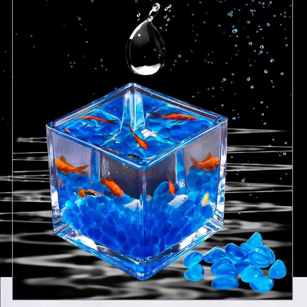 Pecera de Escritorio Cuadrada de Cristal Transparente para Oficina, hogar, decoración Creativa, pecera pequeña, Planta de Agua, pecera Fresca (10 cm) (A 15 cm)