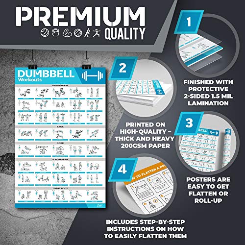 12-Pack Laminated Large Workout Poster Set - Perfect Workout Posters For Home Gym - Exercise Charts Incl. Dumbbell, Yoga Poses, Resistance Band, Stretching, Kettlebell & More Fitness Gym Posters