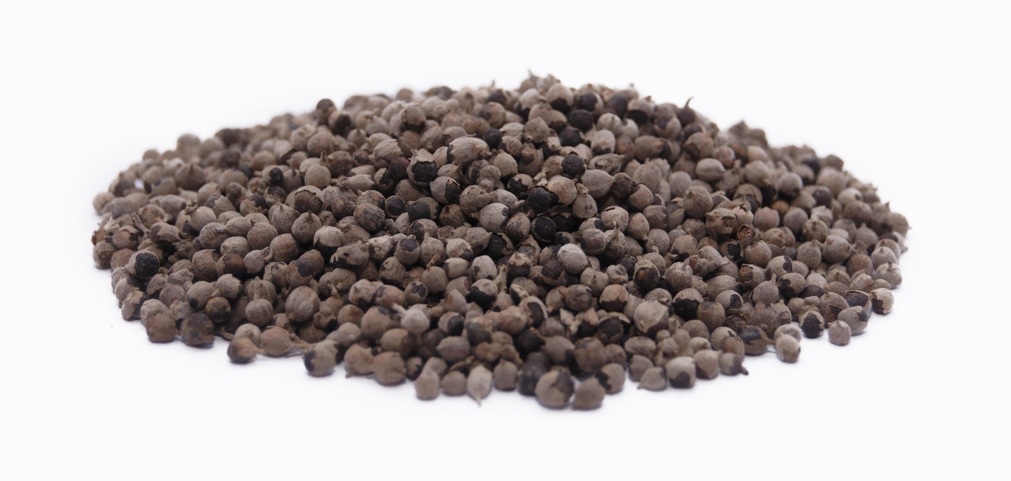 Niepokalanek Pospolity Owoce 500 g Suszone Vitex agnus-castus - Zioła do Naparu
