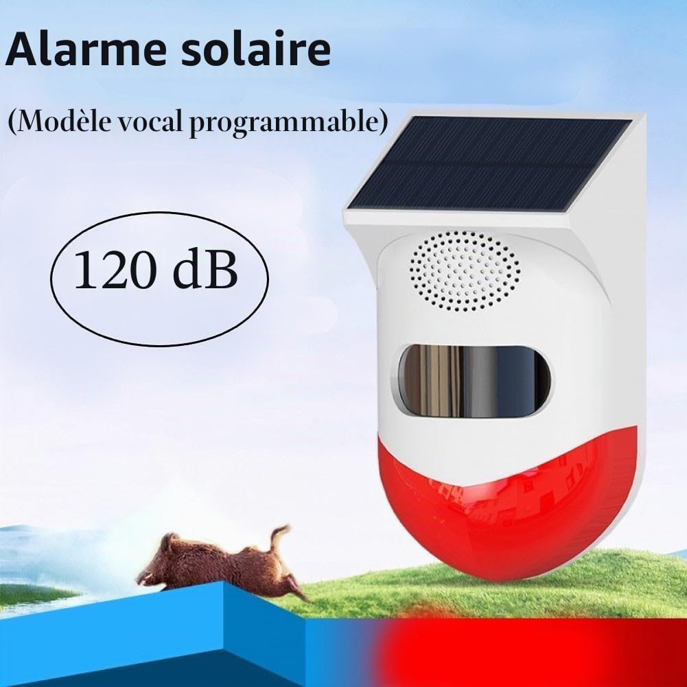 Répulsif de Sanglier avec appels vocaux, Alarme Infrarouge extérieure étanche pour l'extérieur