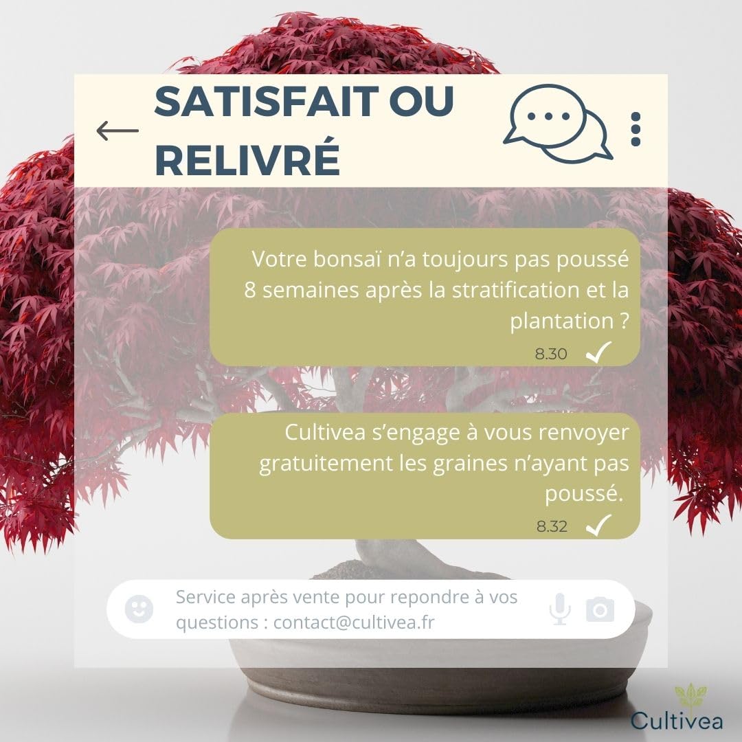 CULTIVEA Set mit 3 Bonsai-Samen – französische Samen, 100% ökologisch – Gärtnern & Dekorieren – Geschenkidee (Red Mapple, Chinesische Cercis, Juniperus, Liquidambar, Norway Spruce) – hergestellt in