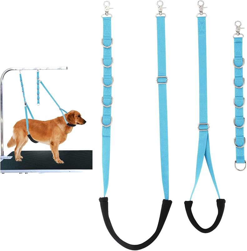 Kit de Guia e Cinta Abdominal para Tosa de Cães FURSDOLY Sky Blue, 3 Conjuntos