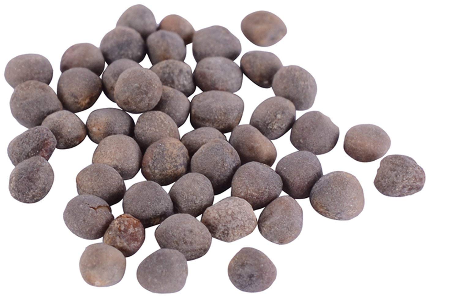 VIBEX® XXL-328-Broccoli Quality Seeds-picture-10
