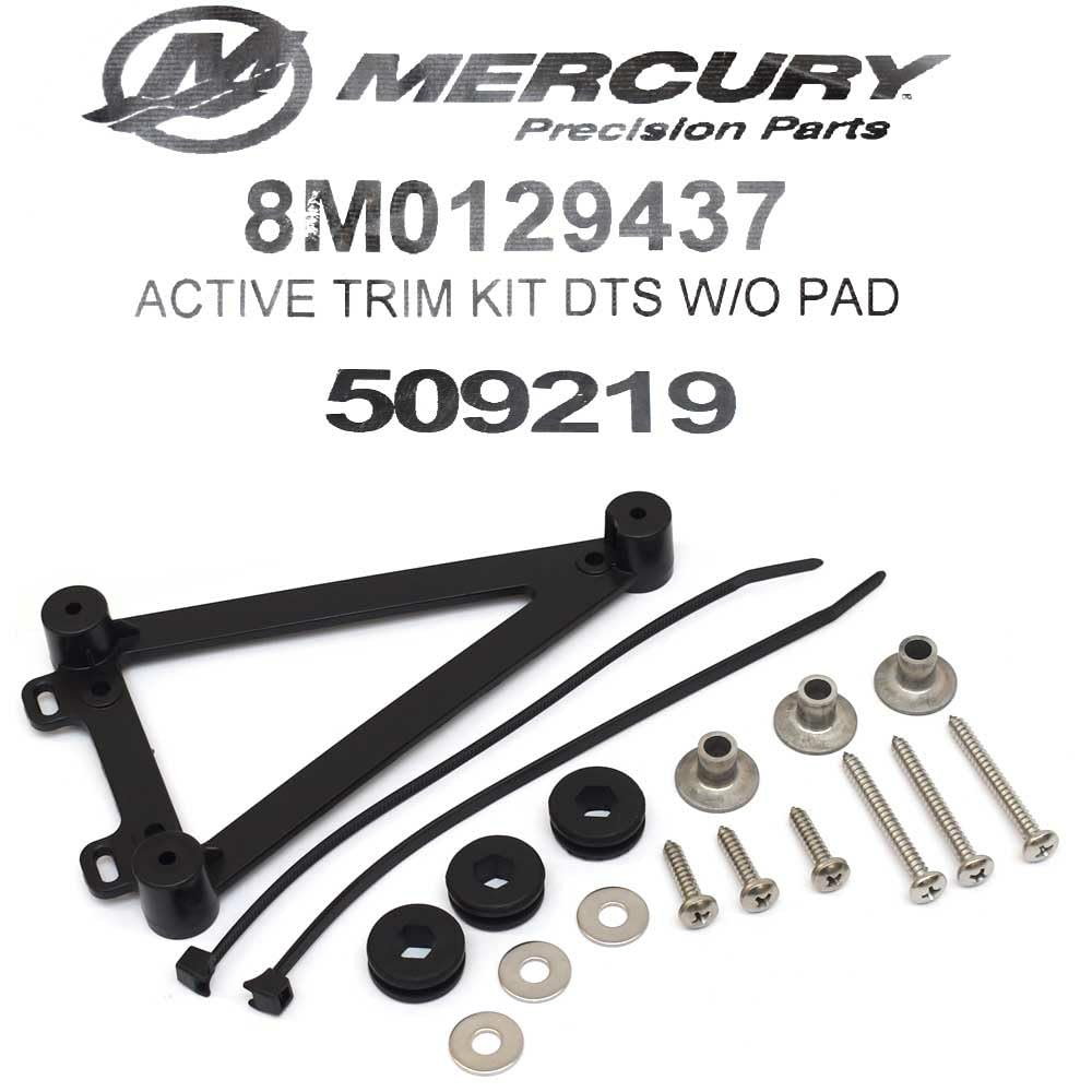 Amazon.com : Mercury Marine Boat Active Trim 8M0129437
