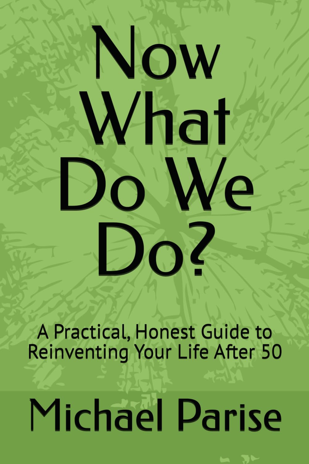 Now What Do We Do?: A Practical, Honest Guide to Reinventing Your Life After 50