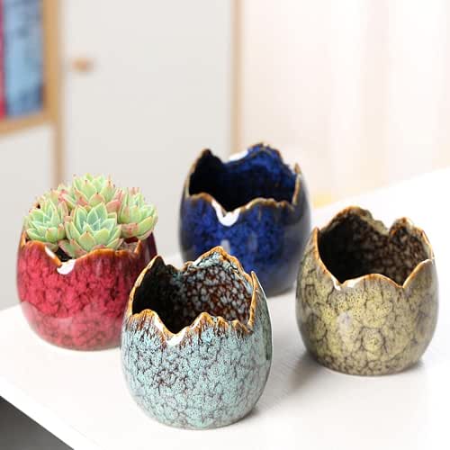 Simcat Succulent Pots with Drainage Half Dragon Egg Shell Design