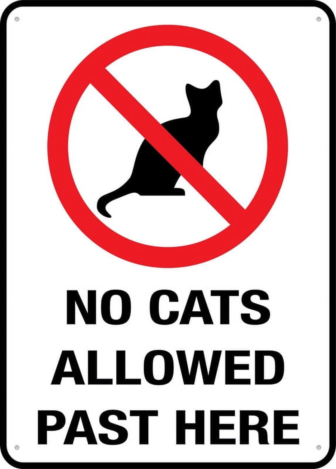 peiyeety No Cats Allowed Past Here Sign - 8"x12" Rust Free Aluminum, Outdoor/Indoor For Home/Business/Yard