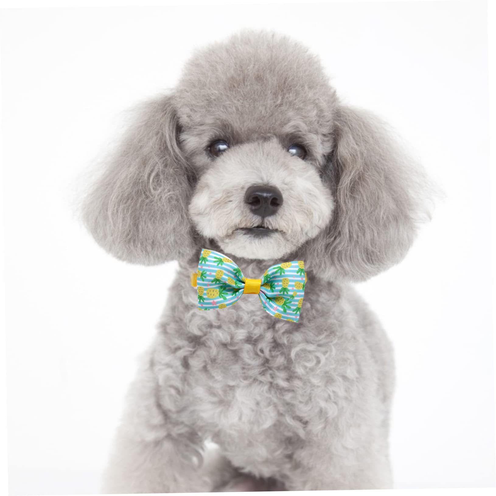 POPETPOP 48 STK Haustier Fliege Katze Bowknot-Halsband Kätzchen Fliege Süßer Schleifenkragen Halsschleifen Für Hunde Haustierhalsbänder Baby Kleine Tiere Gerippter Gürtel Mädchen