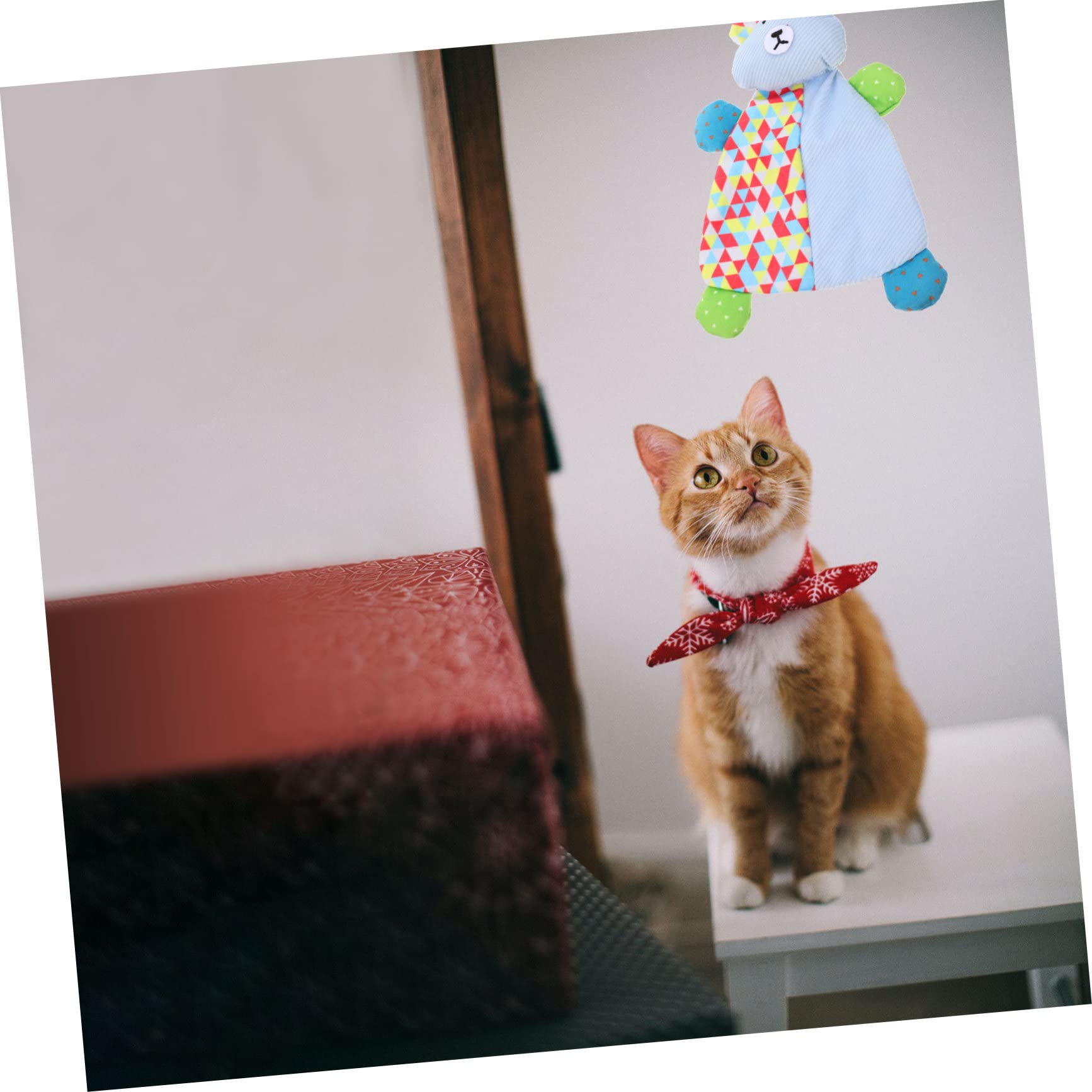 HEMOTON Jouet pour Chatons Jouet Amusant et Éveil pour Chats pour Animaux de Compagnie