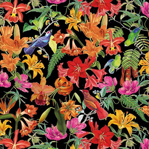 Ambiente Napkin 33 Centimetre Paradise Birds Black - Pack of 20