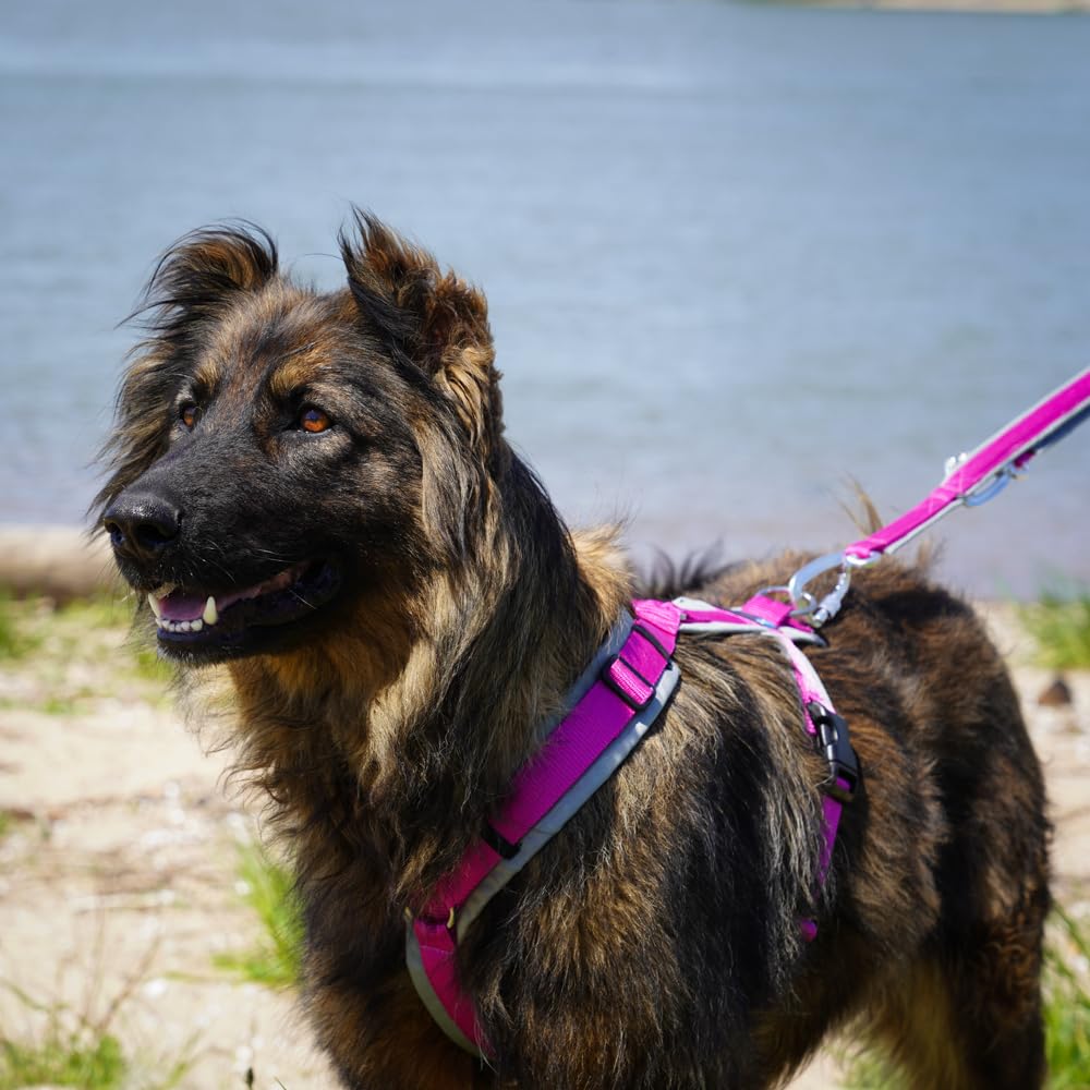 anny-x Borst harnas Fun harnas hond zwart rood - Gr. S