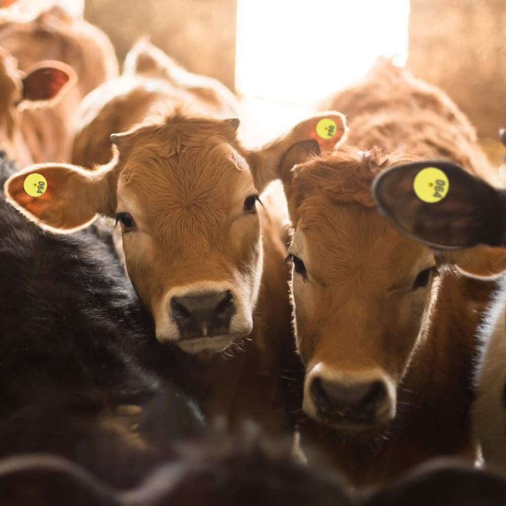 Applicatore Per Etichette Auricolari Bestiame | Per Mucche, Pecore, Capre, Maiali