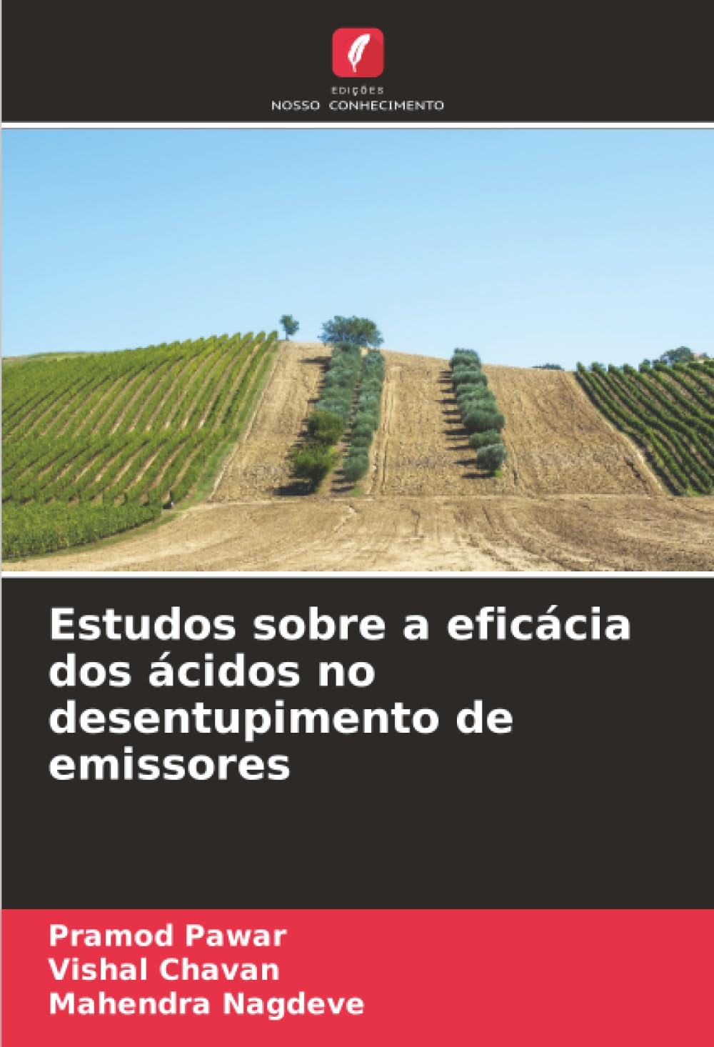 Estudos sobre a eficácia dos ácidos no desentupimento de emissores