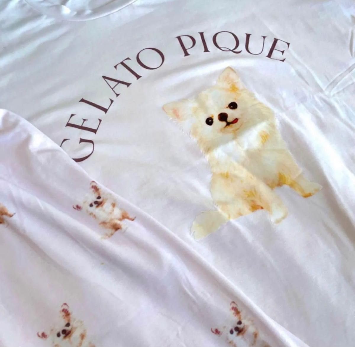 ジェラートピケ ジェラピケ ドック チワワ 上下セット 半袖