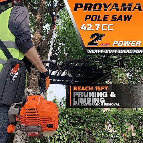 PROYAMA 42.7cc Adjustable Pole Saw