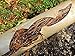 Zep Root Kill - 2 Lbs (Case of 4) ZROOT24 - Root Control in Septic Tanks and Leach Lines