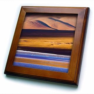 3dRose 8x8 Framed Tile - Flamingos, Altiplano, Bolivia Flamingos
