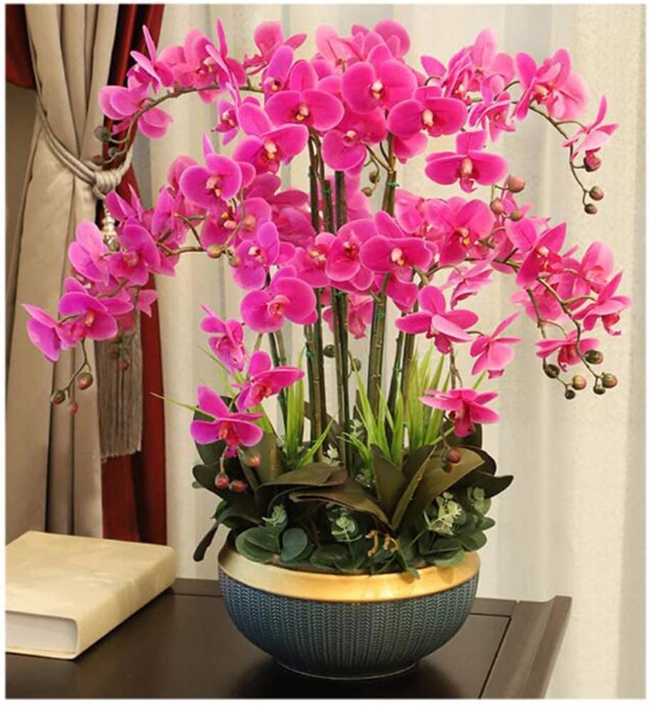 植木鉢付き造花盆栽テクスチャーはクリアユニフォーム染色造花胡蝶蘭お手入れが簡単