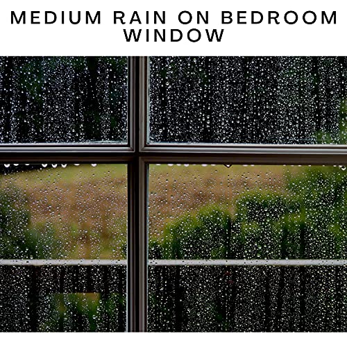 Light Rain on Wooden Sun Deck