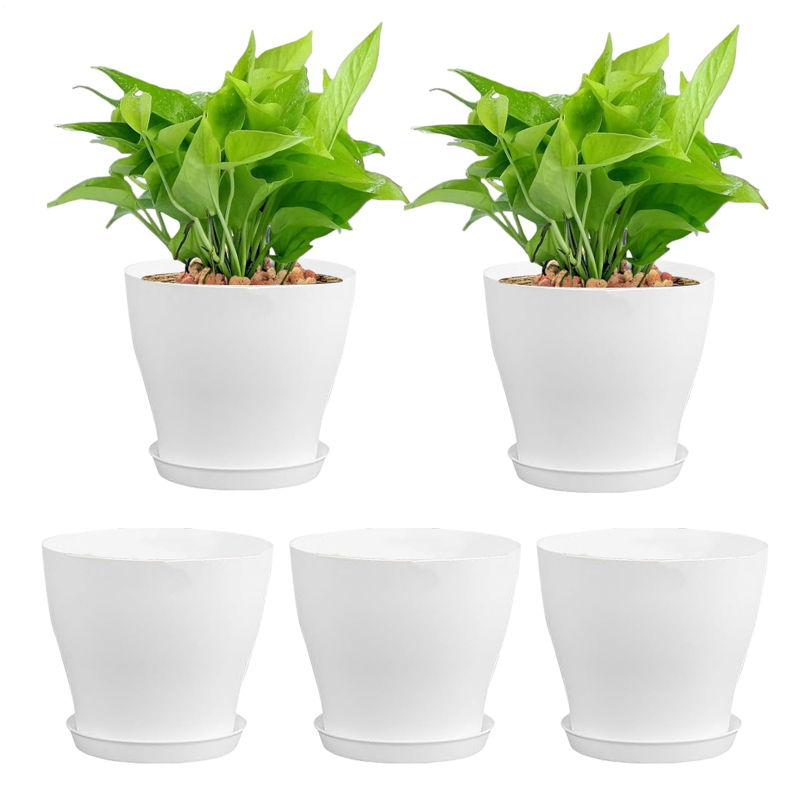 Conteneurs de jardin anti-pourrissement avec plateau de drainage