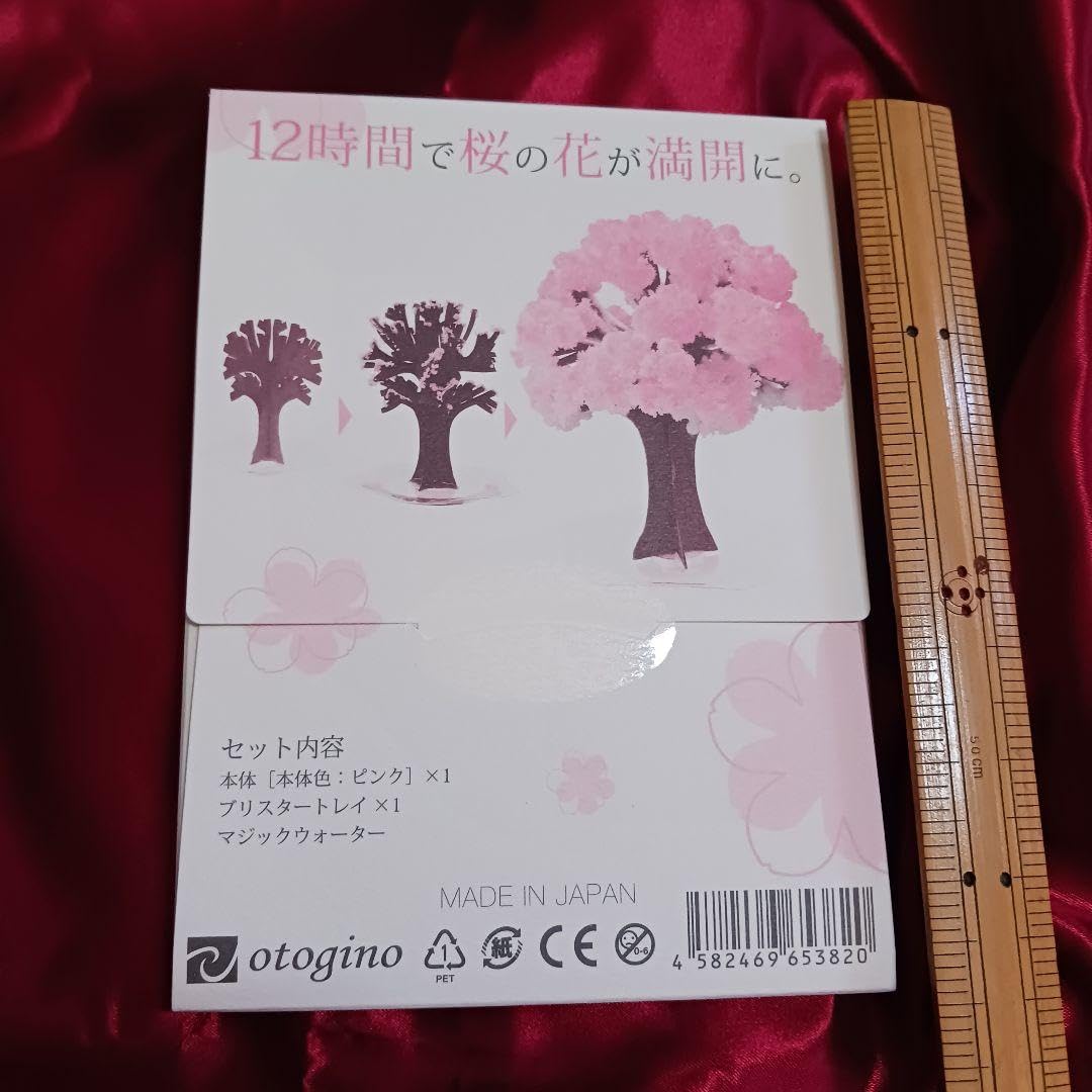 ①桜さまの専用オーダーページ 桜様専用オーダーページ 桜さま専用オーダーページ その他