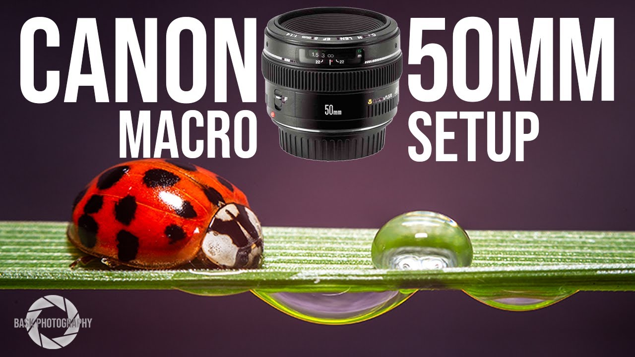 Watch Canon 50mm f/1.4 MACRO photography Setup and Sample Photos