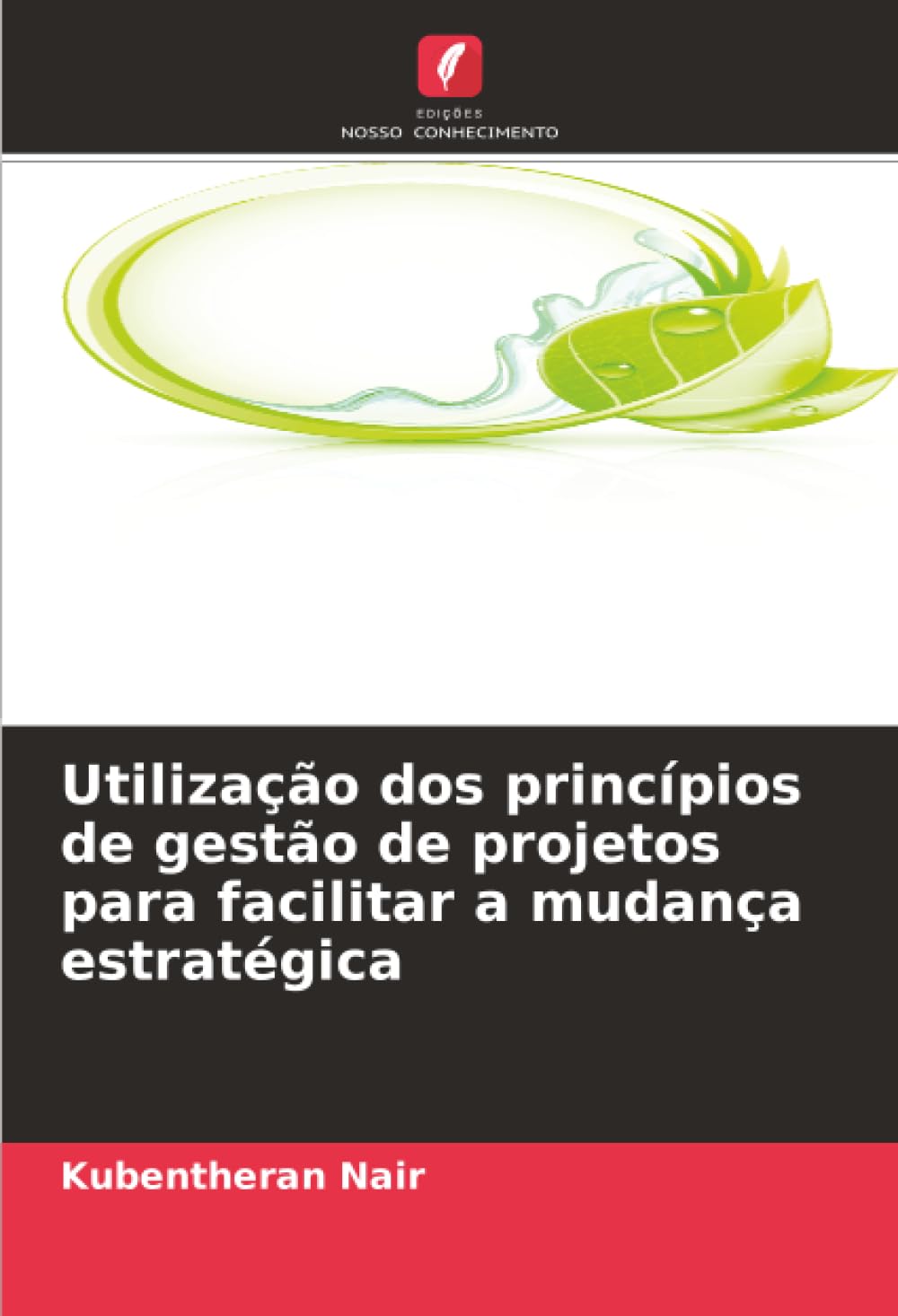 Utilização dos princípios de gestão de projetos para facilitar a mudança estratégica