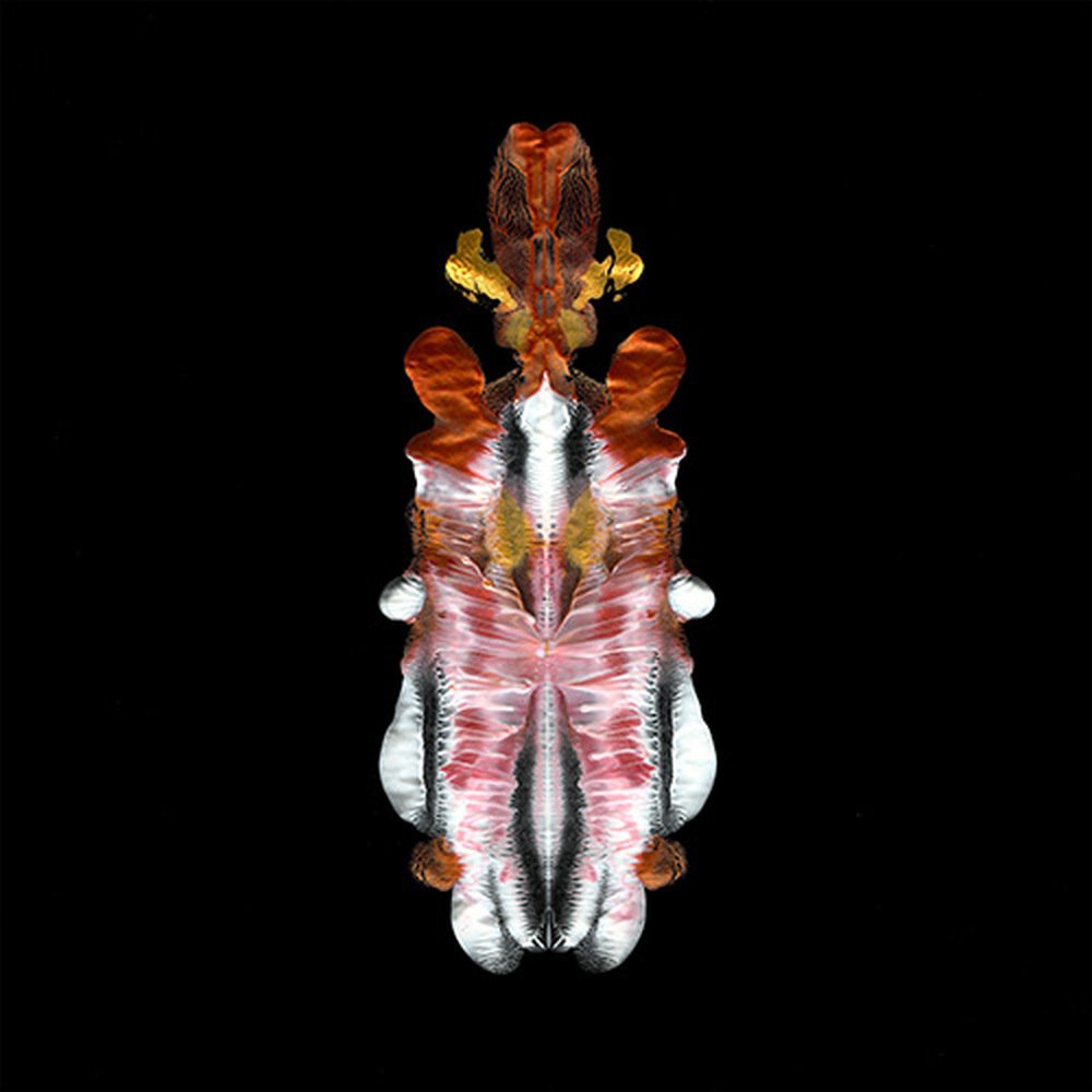 The Will To Burn [VINYL]