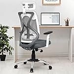 Da URBAN® Merlion Office Chair,High Back Mesh Ergonomic Home Office Desk Chair with 3 Years Warranty, Adjustable Armrests,Adjustable Lumbar Support,Tilt Lock Mechanism (Grey)