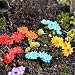 Kangnice 10Pcs Miniature Flower Moss Bonsai DIY Crafts Fairy Garden Landscape Decor