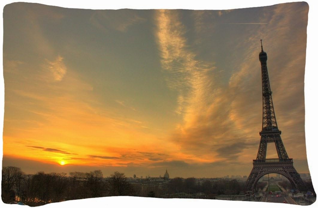 Microfiber Peach Queen Size Decorative PillowCase -City Paris tower sunset sun