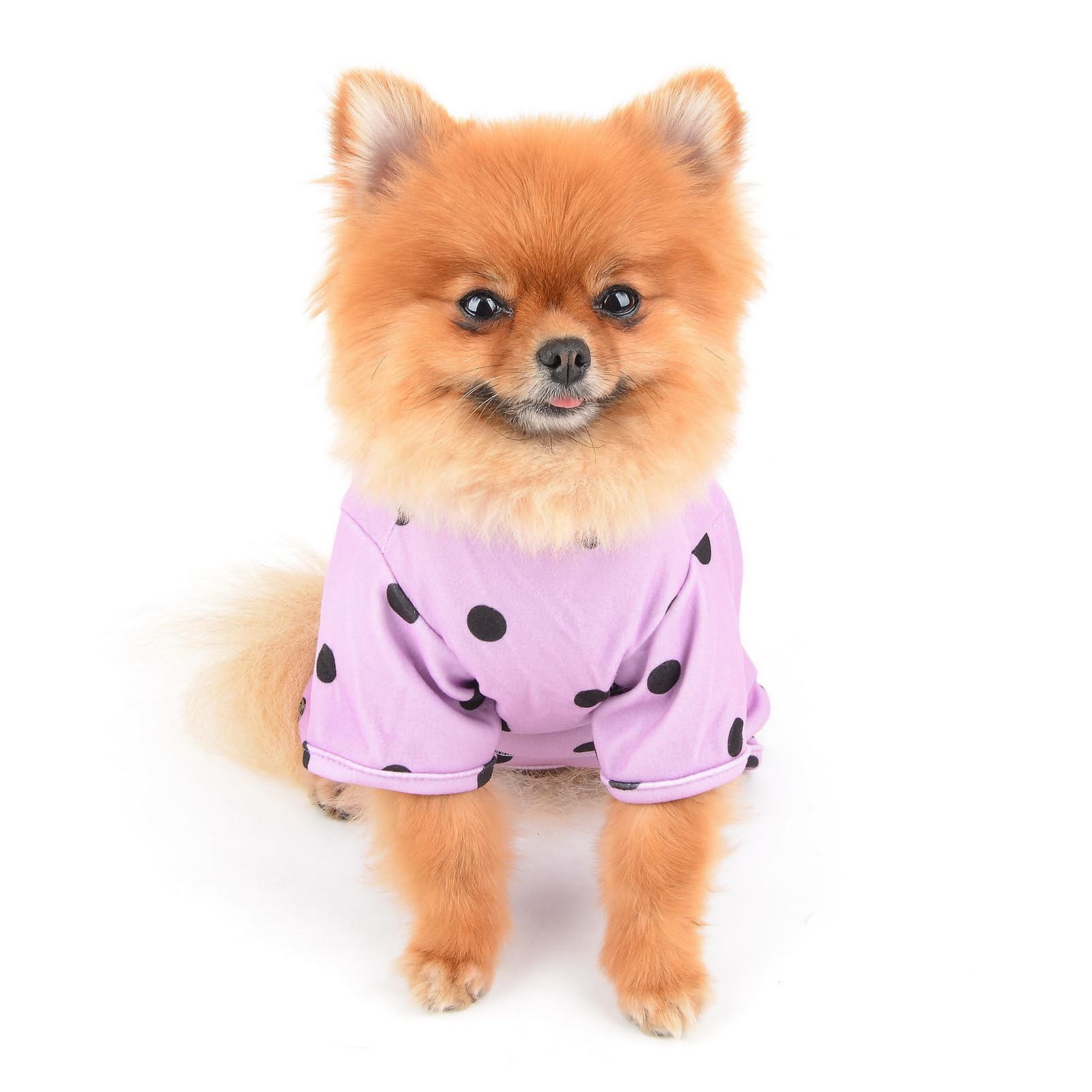 SMALLLEE_LUCKY_STORE Small Dog Clothes Cute Retro Dots Puppy Pajamas Pjs Belly Cover Cat Pyjamas Stretchy Jumpsuit Warm Sleepwear Outfits for Yorkie Chihuahua,Purple,M - Image 3