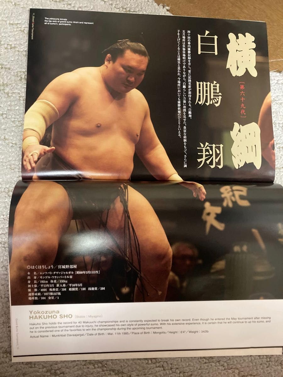 名古屋場所パンフレット2016 81qenoZKxsL.jpg