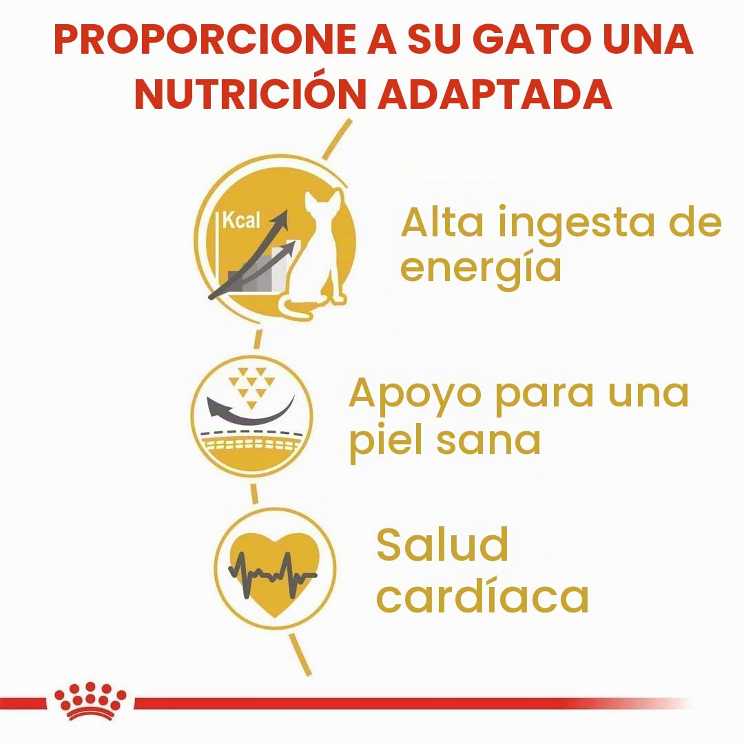 Royal Canin Comida para gatos Sphynx 10 Kg