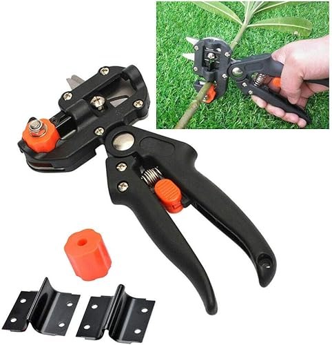 Miniatura 5 de SHG - Kit de herramientas de corte profesional para árbol de frutas de jardín