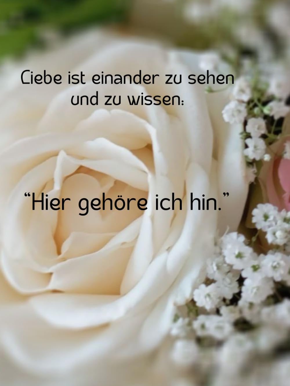 Unser Verlobungsbuch: Liebe ist einander zu sehen und zu wissen: “Hier gehöre ich hin.”