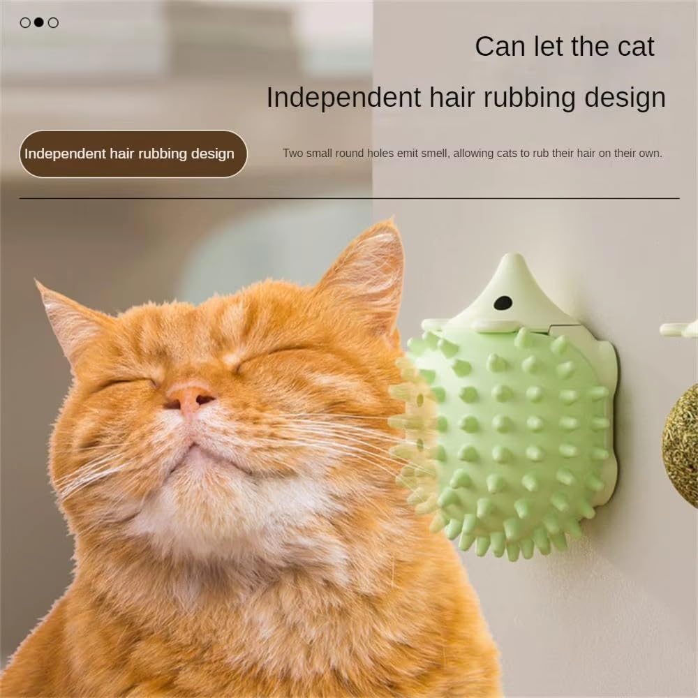 6PCS Pallina Erba Gatta Giochi per Gatti Catnip Ball Girevole Adesiva Naturali Palline Erba Gatta Ruotabile a 360° con Coperchio di Conservazione per Gatti da Leccare con Auto Massaggio Spazzola Gatti