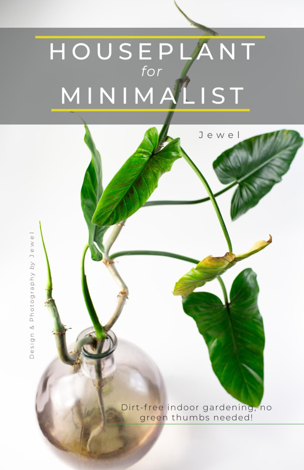 HOUSEPLANT for MINIMALIST: Dirt-free indoor gardening, no green thumbs needed!