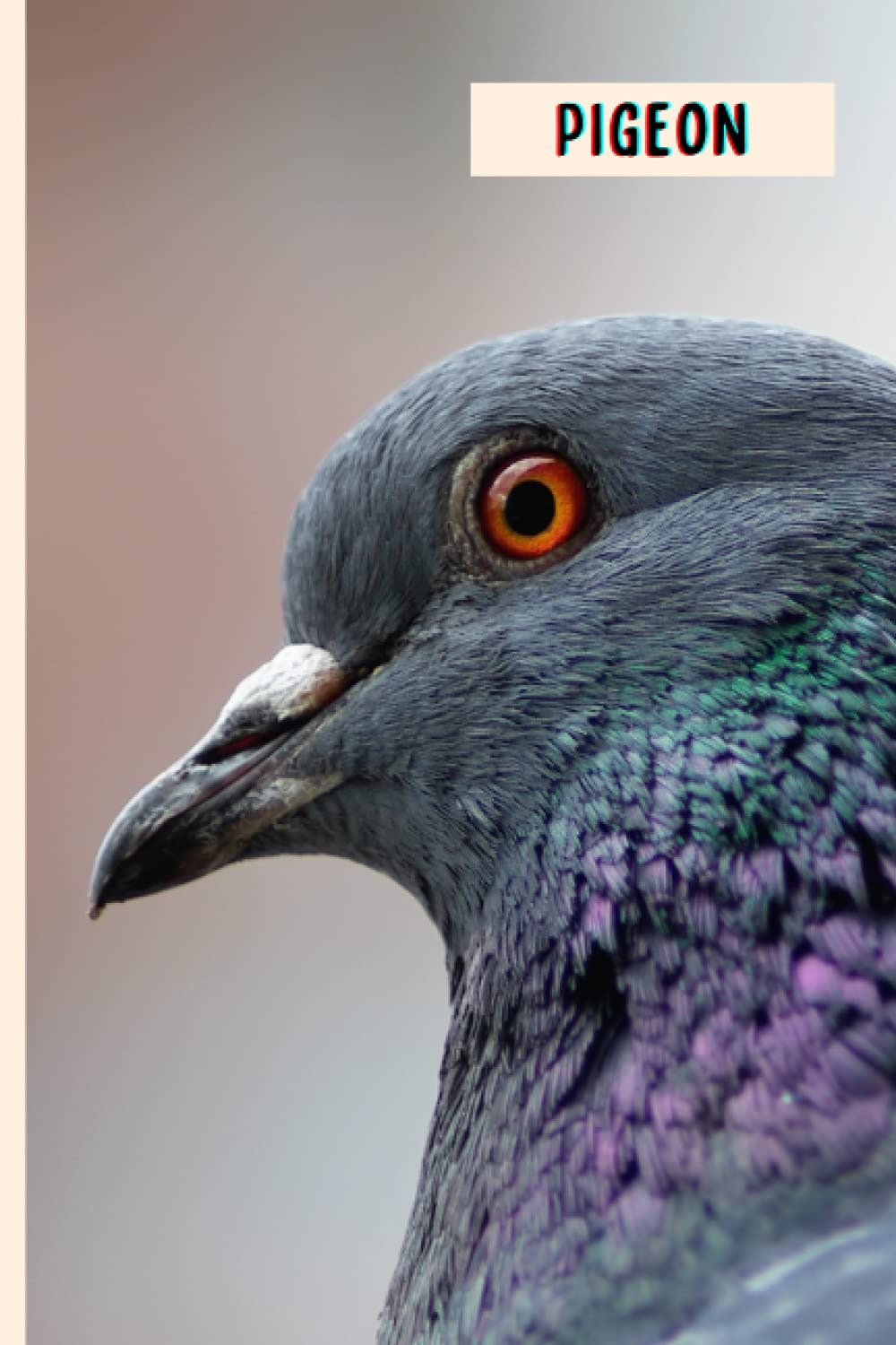 Pigeon: Composition Notebook For Pigeon Lovers , Pigeon Lined Journal ,6x9 Inches , 110 Pages ,Pigeon Diary