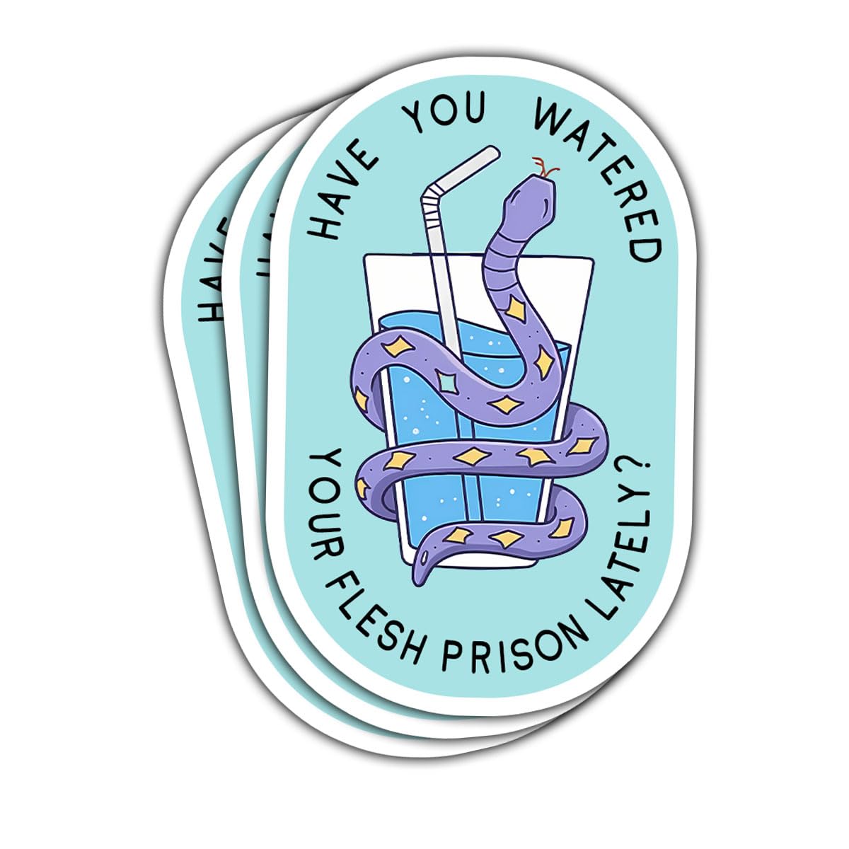 3 Pcs Have You Watered Your Flesh Prison Lately Sticker, Drink Water Sticker, Mental Health Stickers for Adults - Funnyvinyl Sticker 3 Inches for