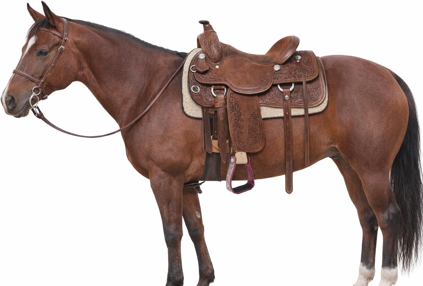 CHALLENGER Horse Western 5" Barrel Racer Engraved Aluminum Angled Show Stirrups 51140