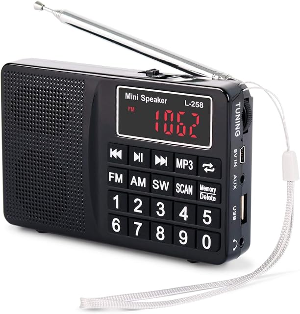 PRUNUS L-258 Small Radio Portable and Mains, AM(MW)/SW/FM Radio Rechargeable with Bass Speaker, Large Button and Display. Stores Stations Automatically.(NO Manual Memory Stations Function)