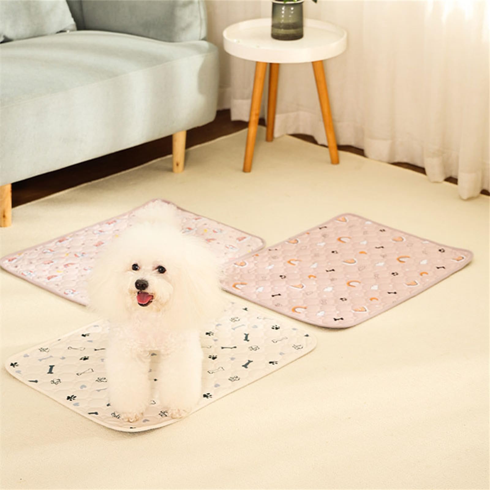 Lukery 2 Pezzi Tappetini Cane Lavabili, Tappetini Igienici per Cani Antiscivolo Tappetino per Addestramento Riutilizzabile Tappetini Assorbenti per Cani/Gatti (XXL:(150 * 90cm),Osso Nero)